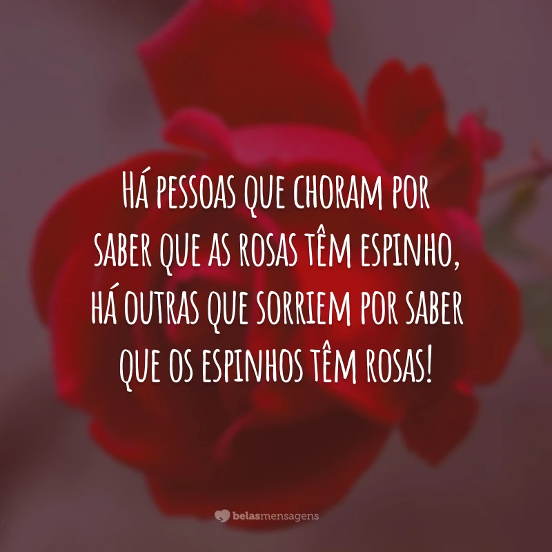 Há pessoas que choram por saber que as rosas têm espinho, há outras que sorriem por saber que os espinhos têm rosas!