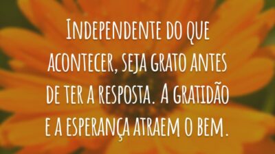 Independente do que acontecer, seja grato antes de ter a resposta. A gratidão e a esperança atraem o bem.