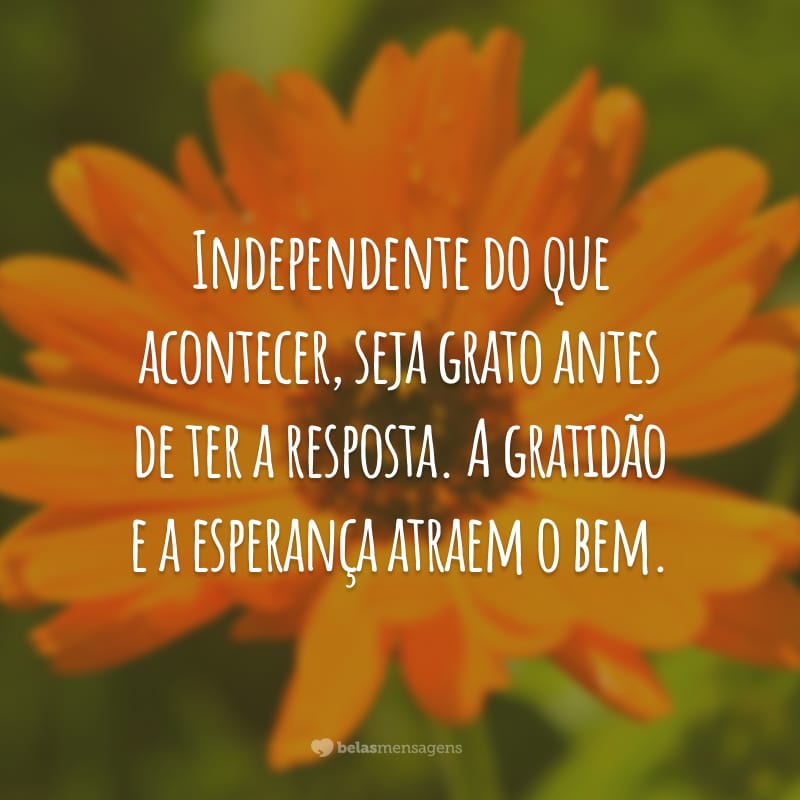 Independente do que acontecer, seja grato antes de ter a resposta. A gratidão e a esperança atraem o bem.