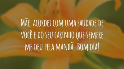 Mãe, acordei com uma saudade de você e do seu carinho que sempre me deu pela manhã. Bom dia!