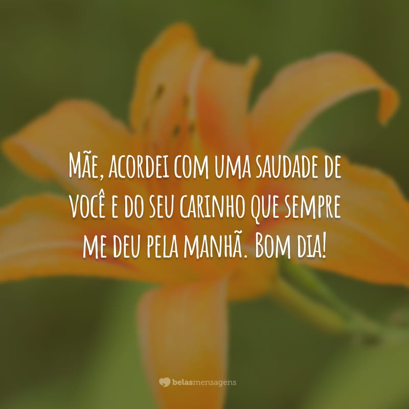 Mãe, acordei com uma saudade de você e do seu carinho que sempre me deu pela manhã. Bom dia!