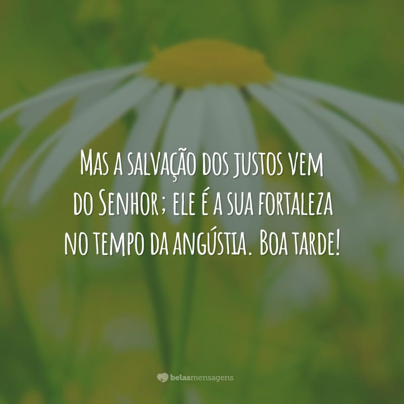 Mas a salvação dos justos vem do Senhor; ele é a sua fortaleza no tempo da angústia. Boa tarde!