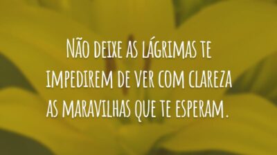Não deixe as lágrimas te impedirem de ver com clareza as maravilhas que te esperam.