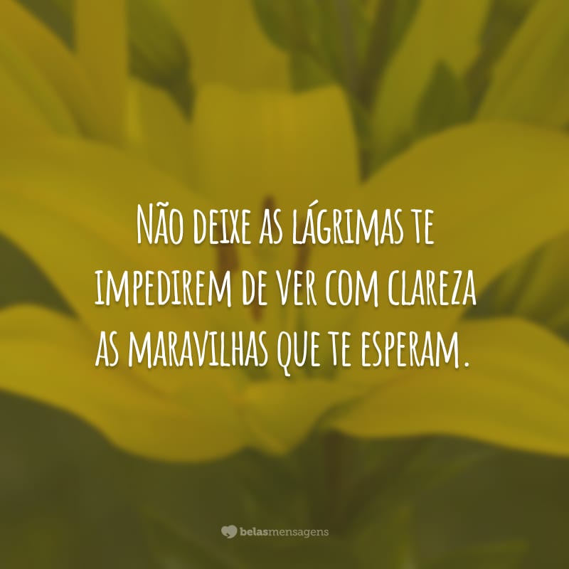 Não deixe as lágrimas te impedirem de ver com clareza as maravilhas que te esperam.