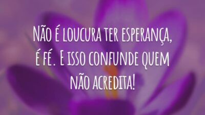 Não é loucura ter esperança, é fé. E isso confunde quem não acredita!