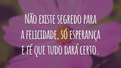 Não existe segredo para a felicidade, só esperança e fé que tudo dará certo.