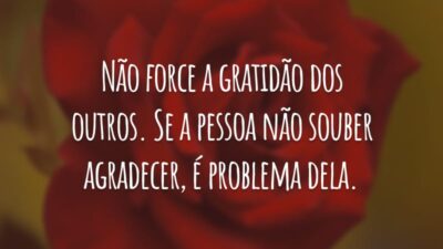 Não force a gratidão dos outros. Se a pessoa não souber agradecer, é problema dela.