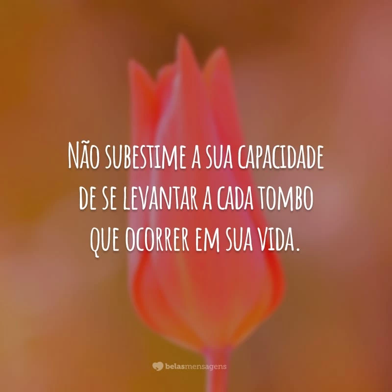 Não subestime a sua capacidade de se levantar a cada tombo que ocorrer em sua vida.