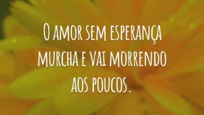 O amor sem esperança murcha e vai morrendo aos poucos.