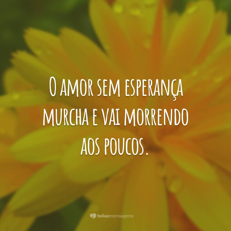 O amor sem esperança murcha e vai morrendo aos poucos.