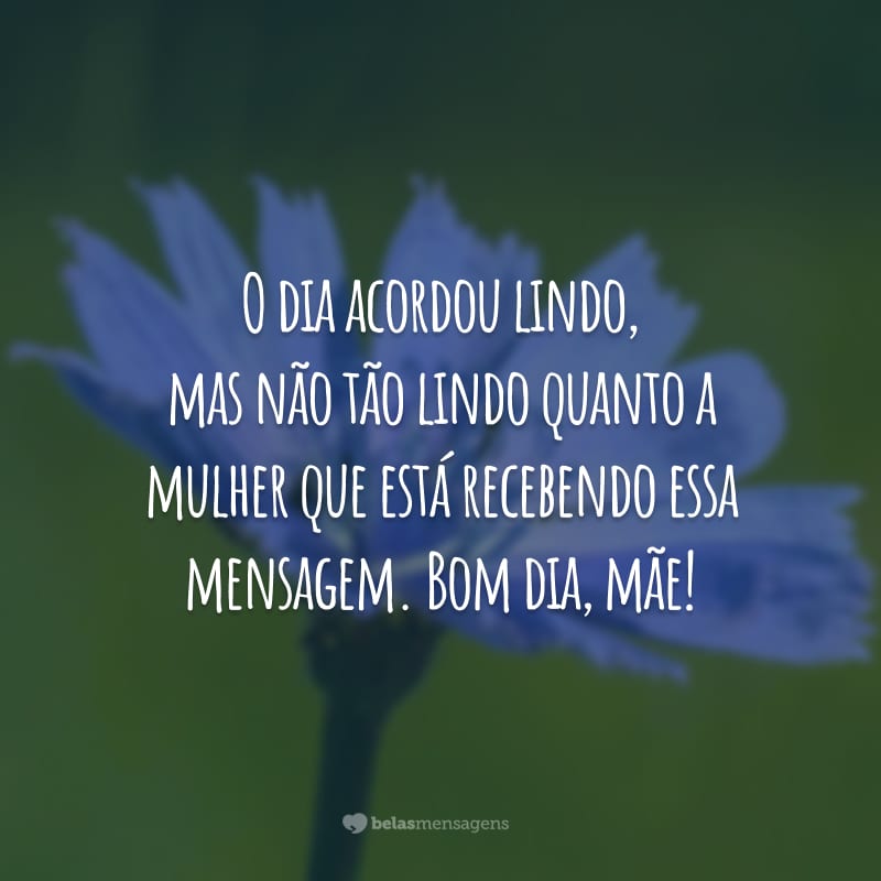 O dia acordou lindo, mas não tão lindo quanto a mulher que está recebendo essa mensagem. Bom dia, mãe!