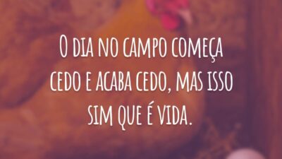 O dia no campo começa cedo e acaba cedo, mas isso sim que é vida.