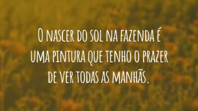 O nascer do sol na fazenda é uma pintura que tenho o prazer de ver todas as manhãs.