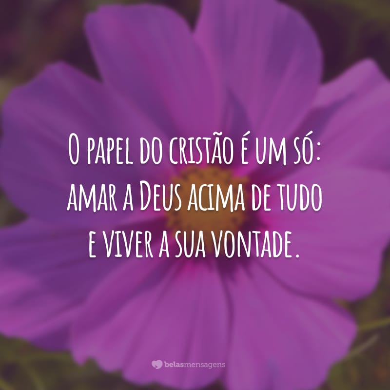 O papel do cristão é um só: amar a Deus acima de tudo e viver a sua vontade.