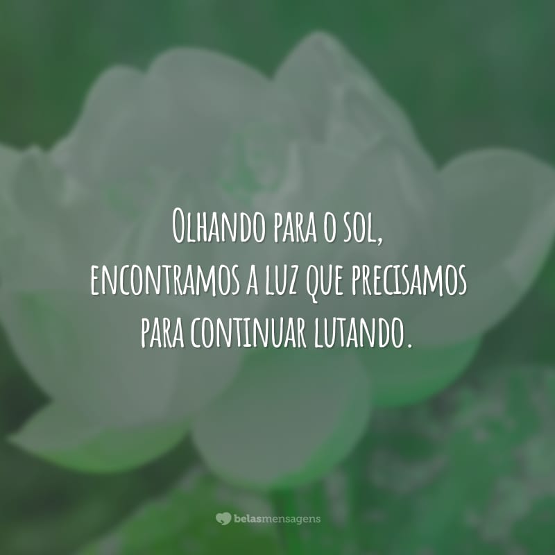 Olhando para o sol, encontramos a luz que precisamos para continuar lutando.