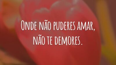 Onde não puderes amar, não te demores.