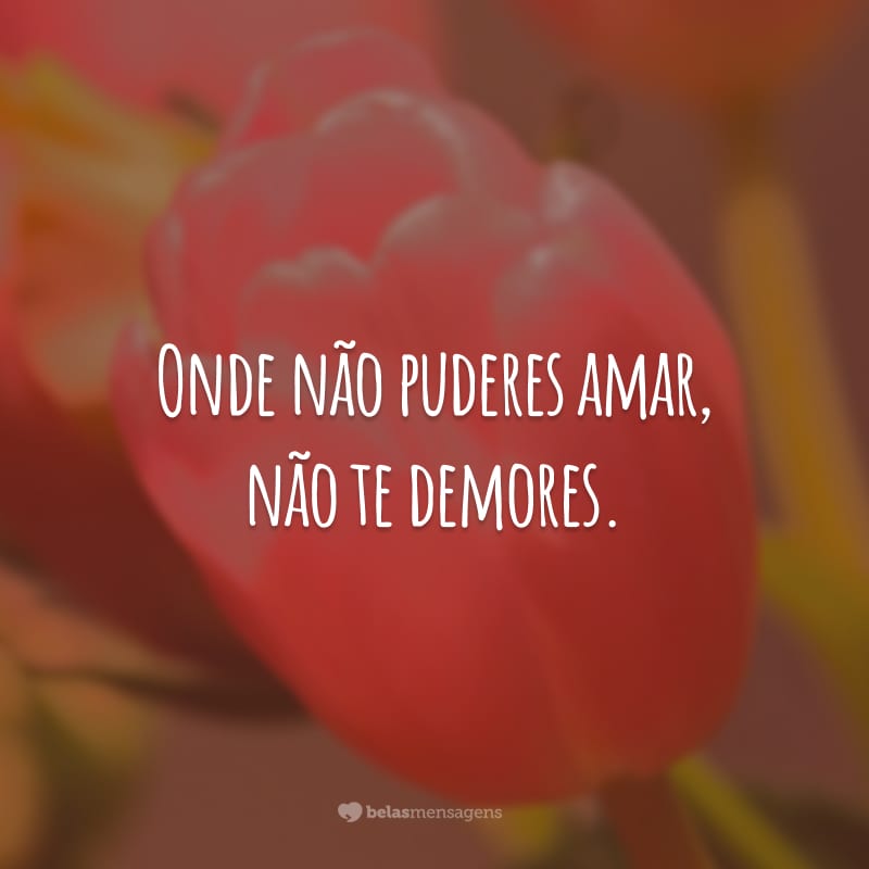 Onde não puderes amar, não te demores.