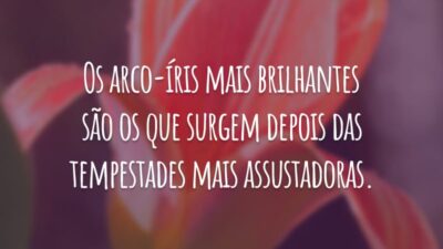 Os arco-íris mais brilhantes são os que surgem depois das tempestades mais assustadoras.