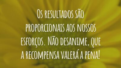 Os resultados são proporcionais aos nossos esforços. Não desanime, que a recompensa valerá a pena!