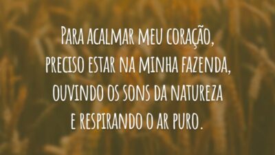 Para acalmar meu coração, preciso estar na minha fazenda, ouvindo os sons da natureza e respirando o ar puro.