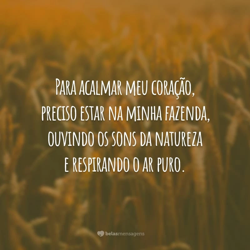 Para acalmar meu coração, preciso estar na minha fazenda, ouvindo os sons da natureza e respirando o ar puro.