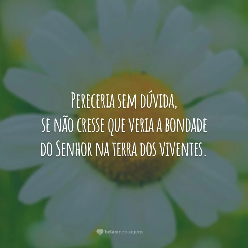 Pereceria sem dúvida, se não cresse que veria a bondade do Senhor na terra dos viventes.