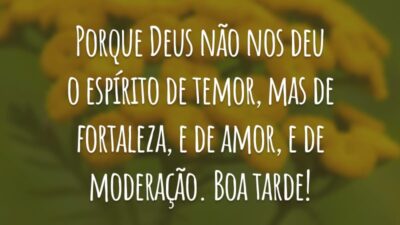 Porque Deus não nos deu o espírito de temor, mas de fortaleza, e de amor, e de moderação. Boa tarde!
