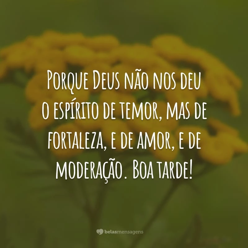 Porque Deus não nos deu o espírito de temor, mas de fortaleza, e de amor, e de moderação. Boa tarde!