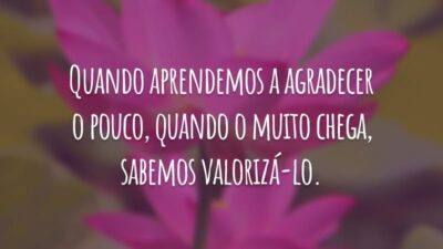 Quando aprendemos a agradecer no pouco, quando o muito chega, sabemos valorizá-lo.