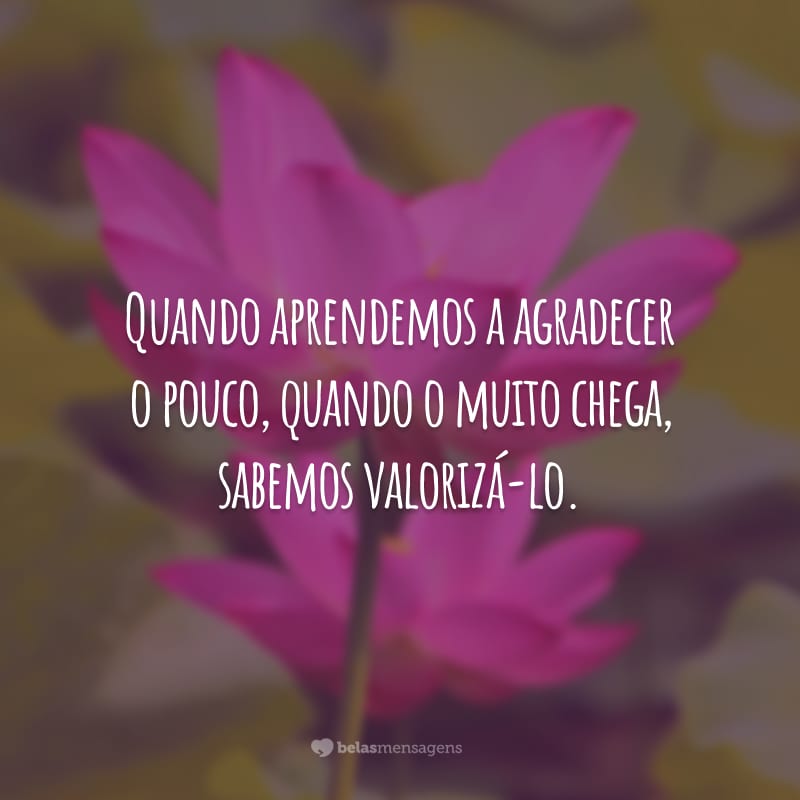 Quando aprendemos a agradecer no pouco, quando o muito chega, sabemos valorizá-lo.