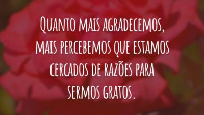 Quanto mais agradecemos, mais percebemos que estamos cercados de razões para sermos gratos.