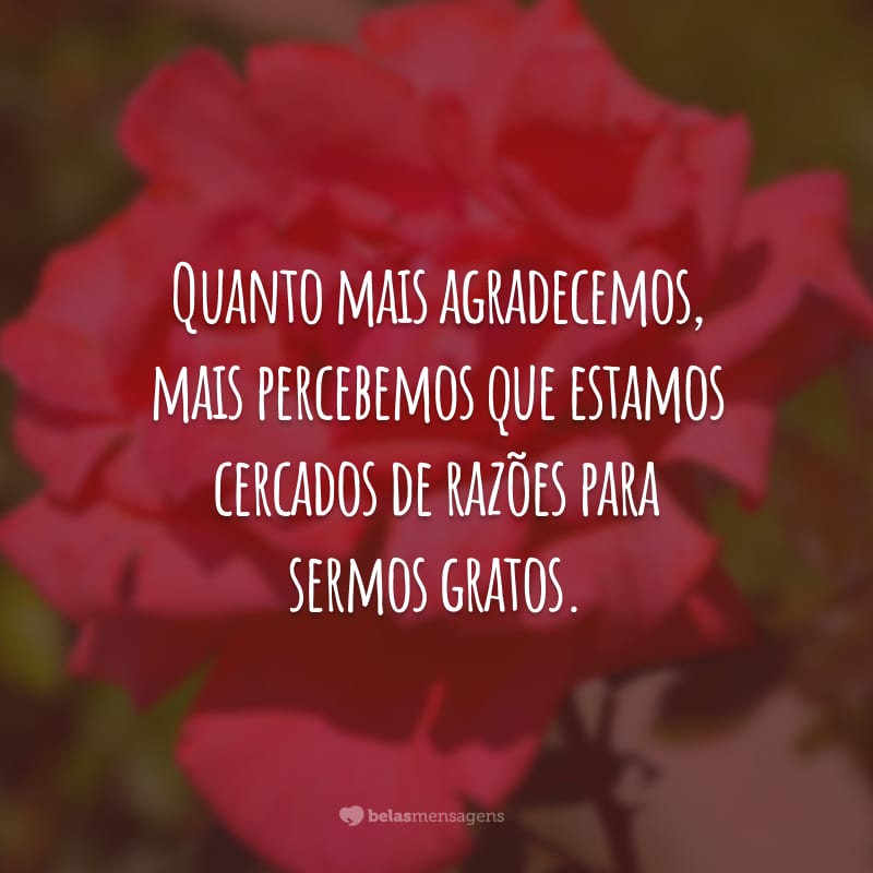 Quanto mais agradecemos, mais percebemos que estamos cercados de razões para sermos gratos.