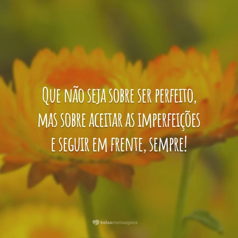 Que não seja sobre ser perfeito, mas sobre aceitar as imperfeições e seguir em frente, sempre!