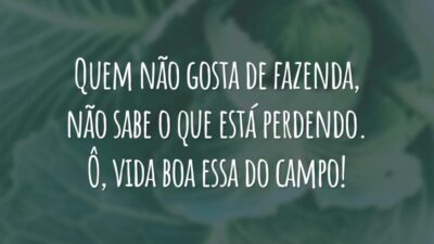 Quem não gosta de fazenda, não sabe o que está perdendo. Ô, vida boa essa do campo!