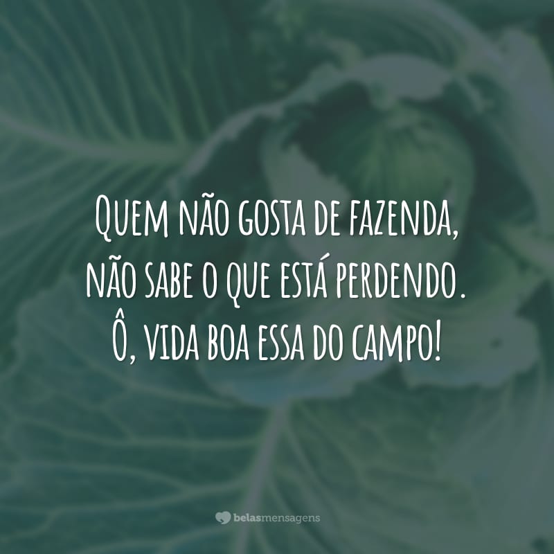 Quem não gosta de fazenda, não sabe o que está perdendo. Ô, vida boa essa do campo!