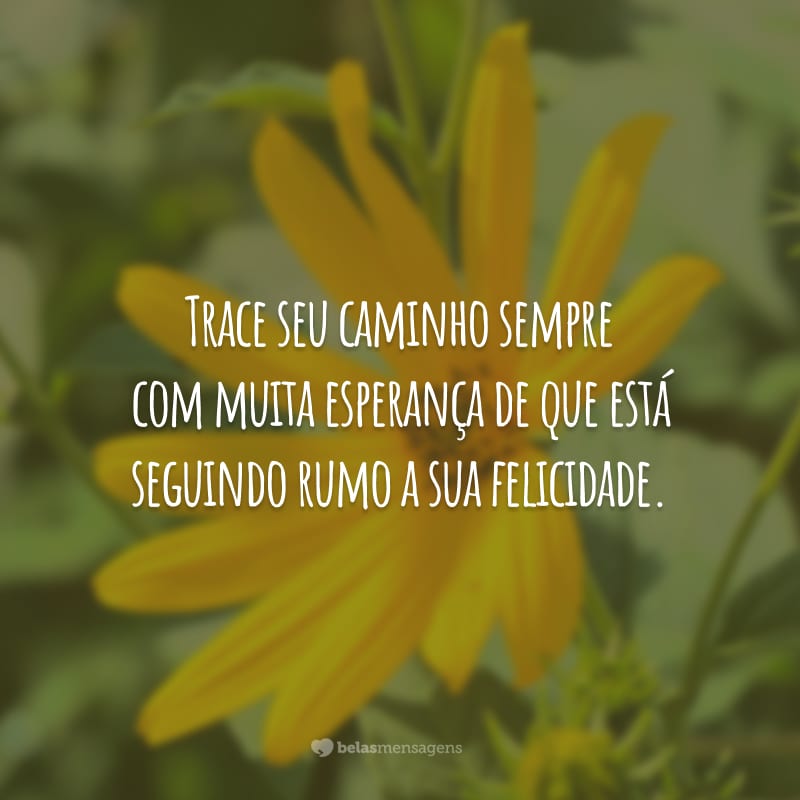 Trace seu caminho sempre com muita esperança de que está seguindo rumo a sua felicidade.