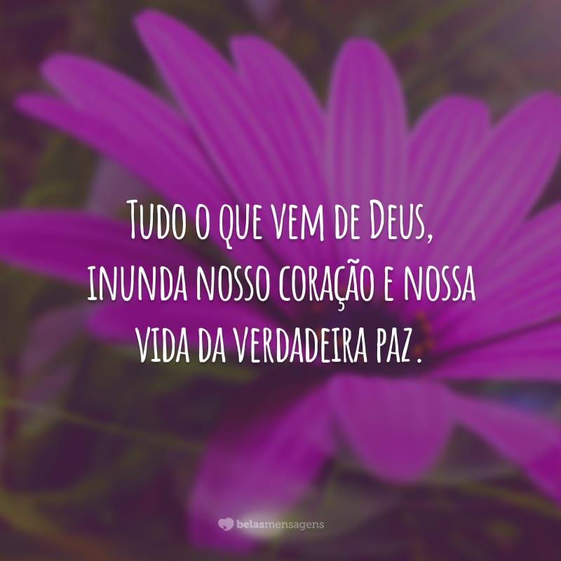 Tudo o que vem de Deus, inunda nosso coração e nossa vida da verdadeira paz.