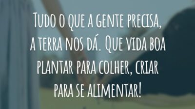 Tudo o que a gente precisa, a terra nos dá. Que vida boa plantar para colher, criar para se alimentar!