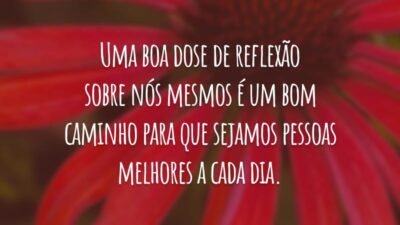 Uma boa dose de reflexão sobre nós mesmos é um bom caminho para que sejamos pessoas melhores a cada dia.
