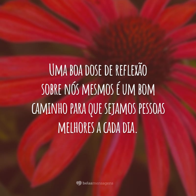 Uma boa dose de reflexão sobre nós mesmos é um bom caminho para que sejamos pessoas melhores a cada dia.