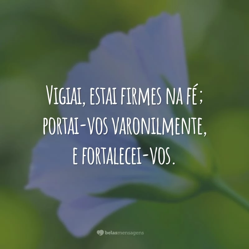 Vigiai, estai firmes na fé; portai-vos varonilmente, e fortalecei-vos.