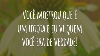 Você mostrou que é um idiota e eu vi quem você era de verdade!