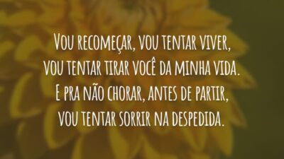 Vou recomeçar, vou tentar viver, vou tentar tirar você da minha vida. E pra não chorar, antes de partir, vou tentar sorrir na despedida.