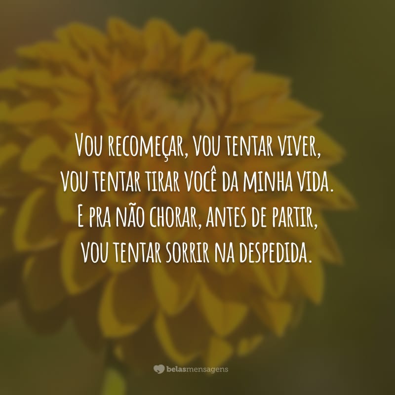 Vou recomeçar, vou tentar viver, vou tentar tirar você da minha vida. E pra não chorar, antes de partir, vou tentar sorrir na despedida.