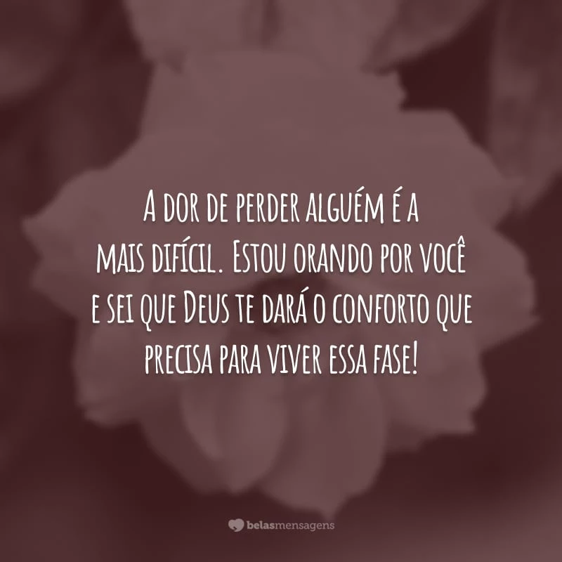 A dor de perder alguém é a mais difícil. Estou orando por você e sei que Deus te dará o conforto que precisa para viver essa fase!