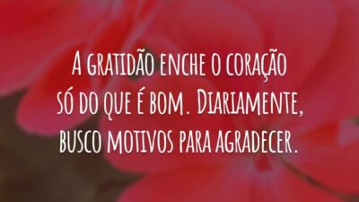 A gratidão enche o coração só do que é bom. Diariamente, busco motivos para agradecer.