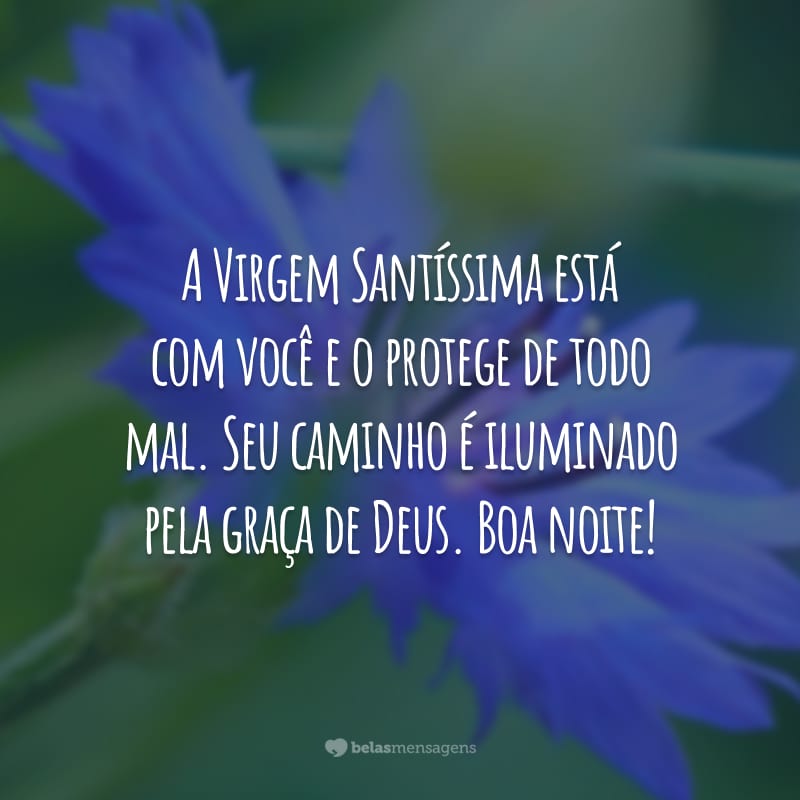 A Virgem Santíssima está com você e o protege de todo mal. Seu caminho é iluminado pela graça de Deus. Boa noite!