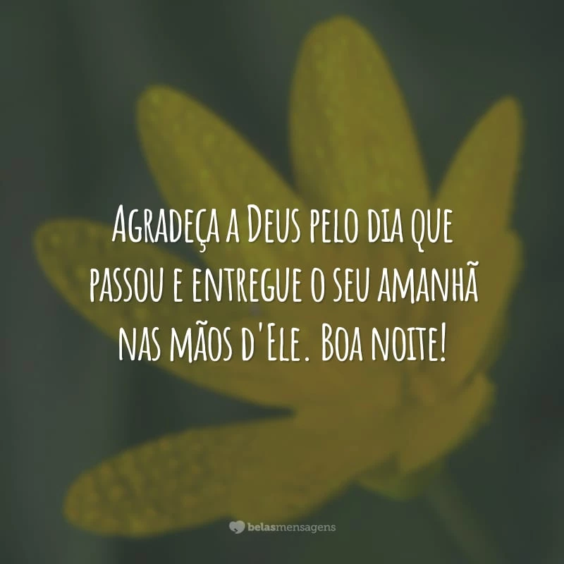 Agradeça a Deus pelo dia que passou e entregue o seu amanhã nas mãos d'Ele. Boa noite!