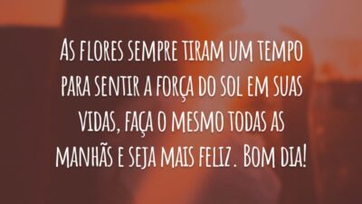 As flores sempre tiram um tempo para sentir a força do sol em suas vidas, faça o mesmo todas as manhãs e seja mais feliz. Bom dia!