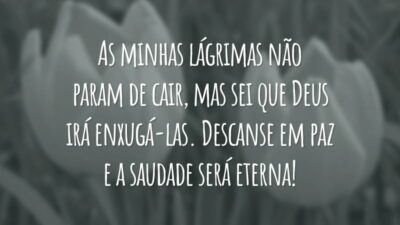 As minhas lágrimas não param de cair, mas sei que Deus irá enxugá-las. Descanse em paz e a saudade será eterna!